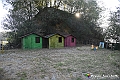 VBS_5637 - C'è un mare di velluto verde! E tu che sognavi di andare lontano... Quanta meraviglia, quì!